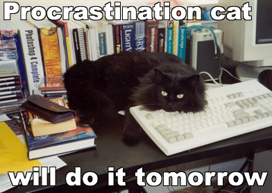 'Procrastination cat will do it tomorrow' from Lolcat Research