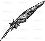 The quill