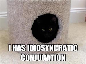"I has idiosyncratic conjugation." Image source: Stan Carey’s blog