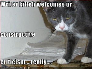 Writer kitteh welcomes your constructive criticism, really. Image source: http://cheezburger.com/501874432