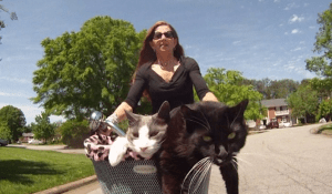 Image source: Bernadette McClure and her bike riding cats on Vimeo from the Cats Need blog