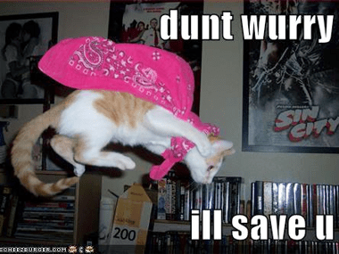 66 May - lolcat_cape from icanhascheezburger