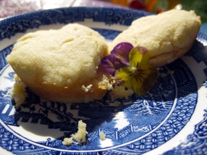 Faraway Tree - Pop Biscuit Cakes - from My Little BookCase